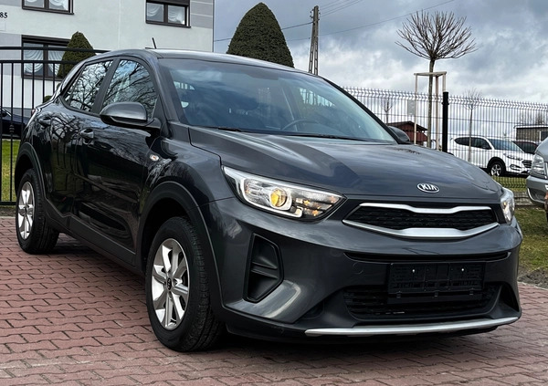 Kia Stonic cena 60999 przebieg: 38441, rok produkcji 2019 z Supraśl małe 704